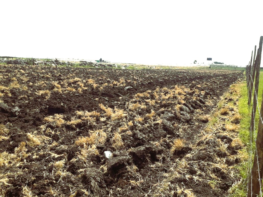 farm land