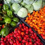 Organic Farming Products