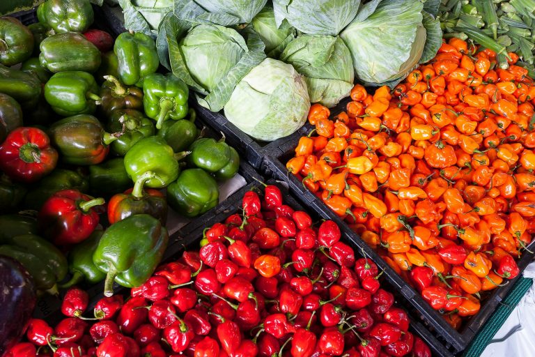 Organic Farming Products