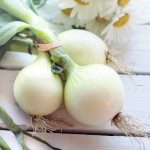 Onions
