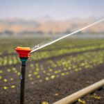 irrigation