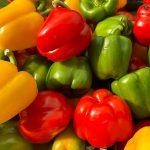 Capsicum farming in Kenya