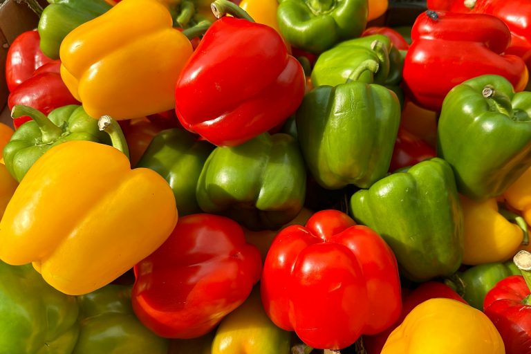 Capsicum farming in Kenya