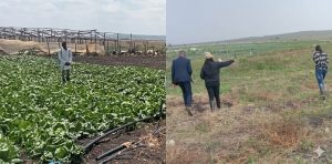 1 Acre Lease in Isinya