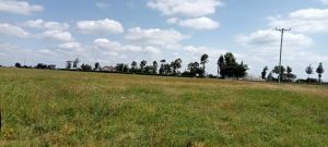 192 acres for sale in ISINYA