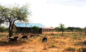 Land for Sale in Gatataek.