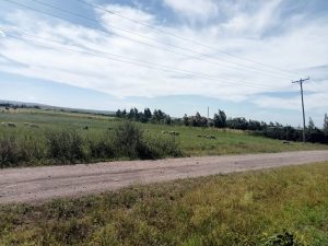 58 Acres land for sale in Isinya, Kajiado County