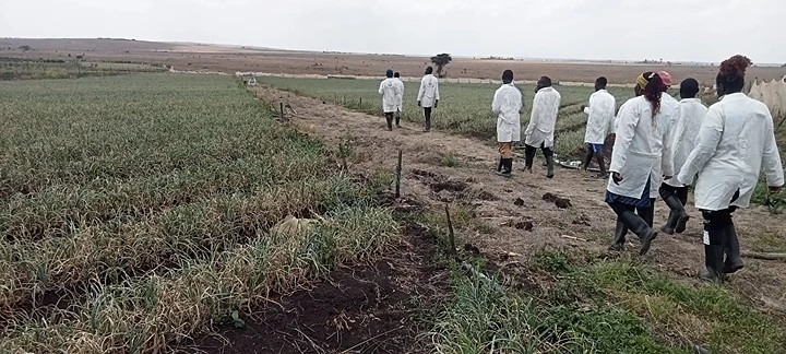 Land lease in Isinya