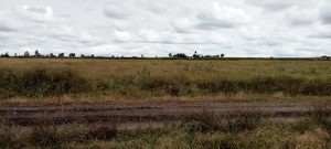 Land for sale in Isinya.