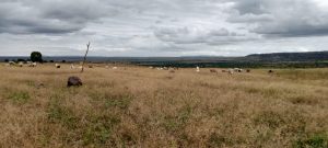 Land for sale in Isinya.