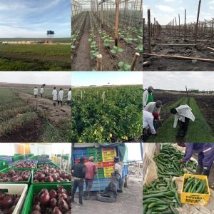 Farm lease