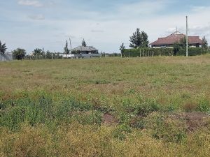 ISINYA, KAJIADO COUNTY 1 Acre plot sale